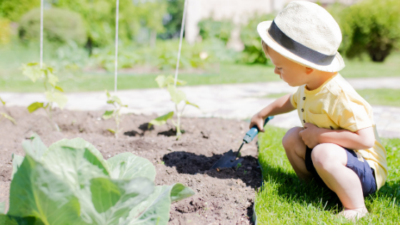 Gardening with Kids | DIY at home