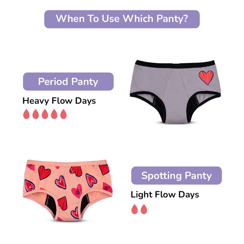 Red Reusable Period Panty (Heavy Flow)